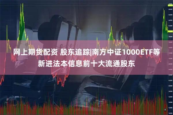网上期货配资 股东追踪|南方中证1000ETF等新进法本信息前十大流通股东