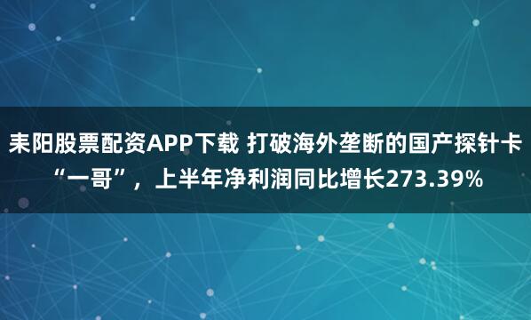 耒阳股票配资APP下载 打破海外垄断的国产探针卡“一哥”，上半年净利润同比增长273.39%